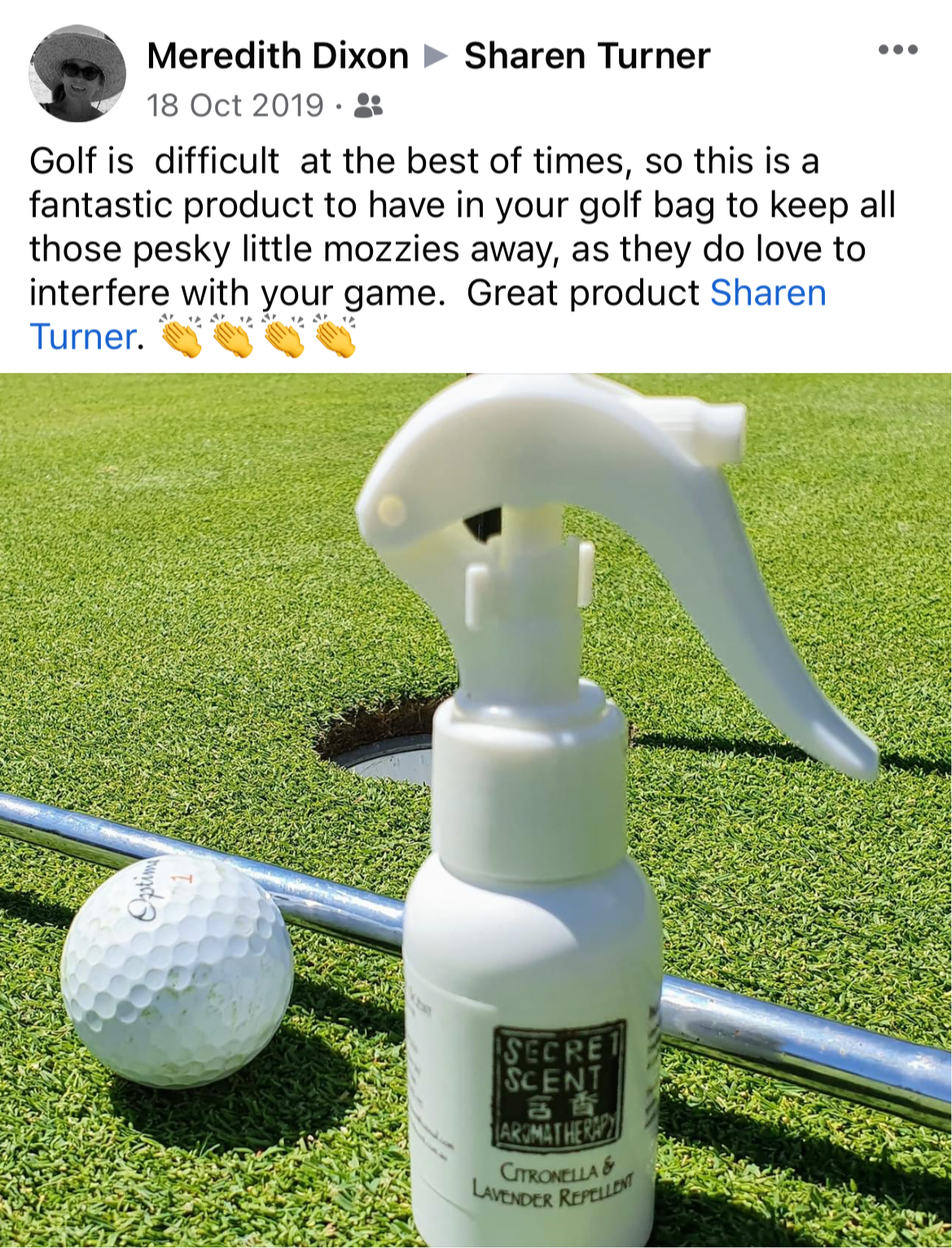 Natural Insect Repellent