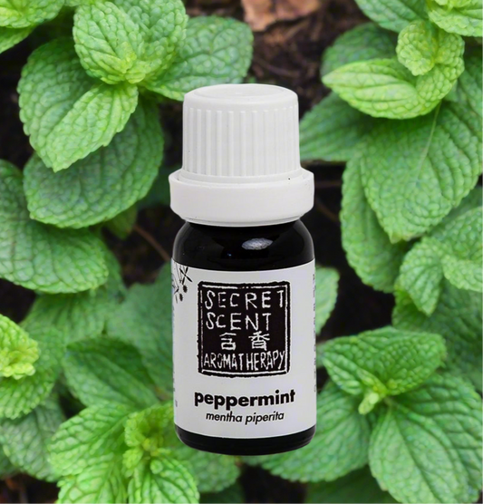 Peppermint Pure Essential Oil