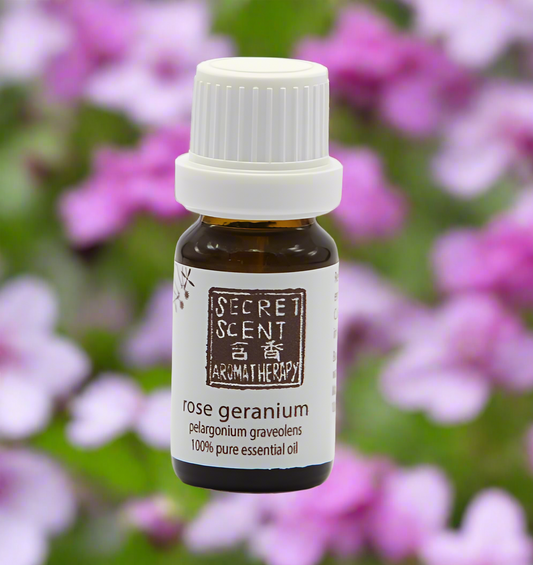 Rose Geranium Pure Essential Oil