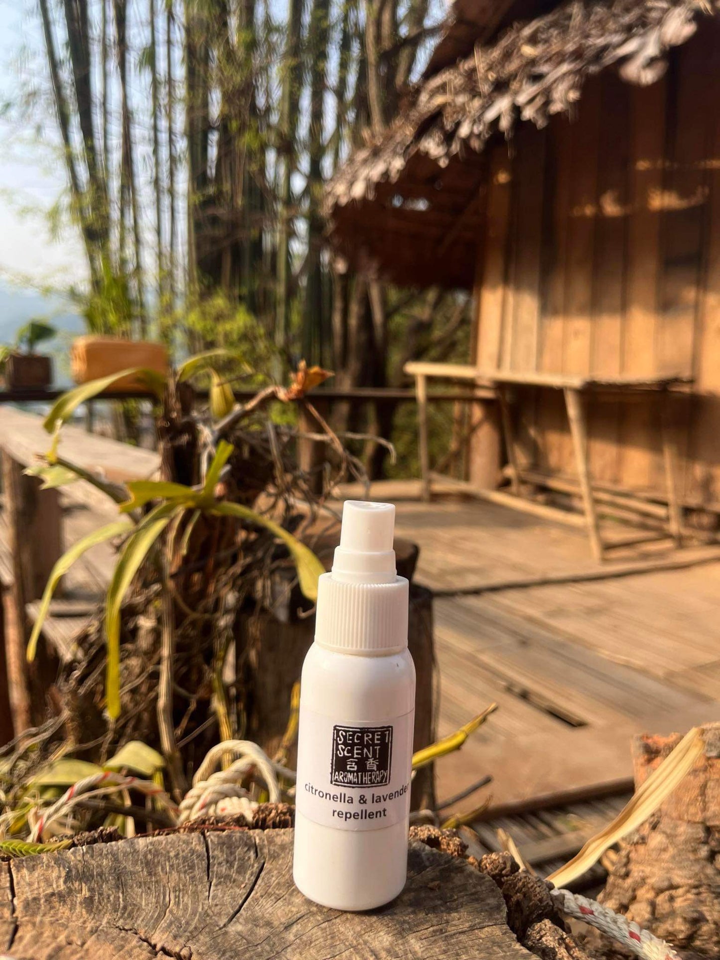 Natural Insect Repellent