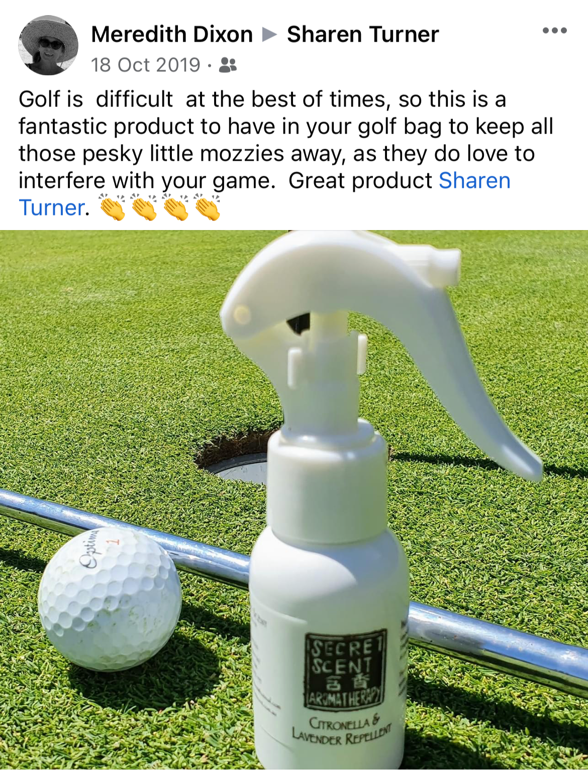 Natural Insect Repellent