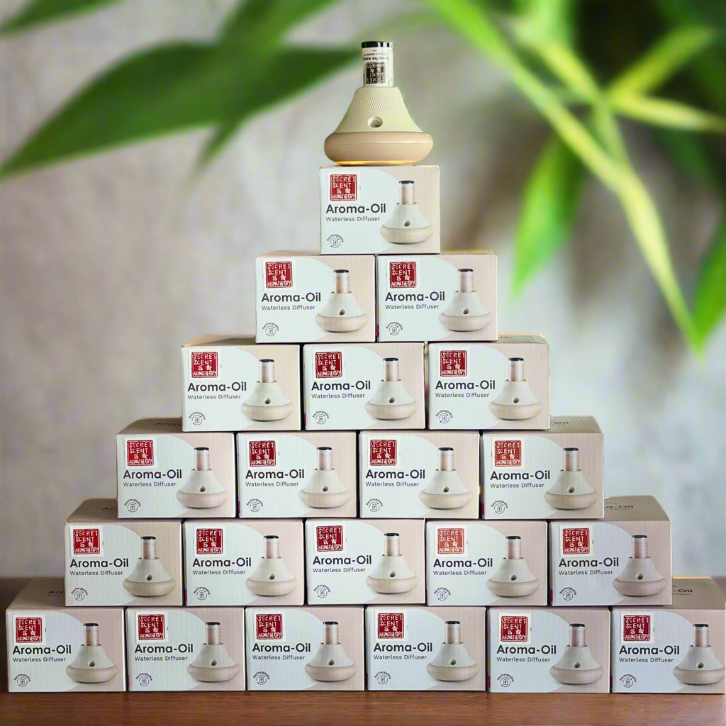 Diffuser Cordless,  Waterless and Rechargeable